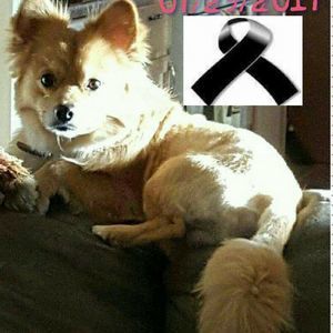 Meet your Posher, Abel